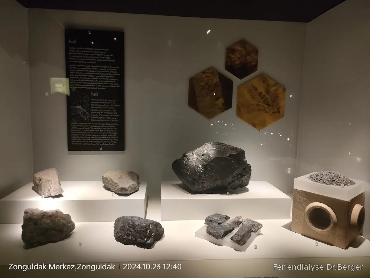 Can Diyaliz Bahçelievler Mahhallesi