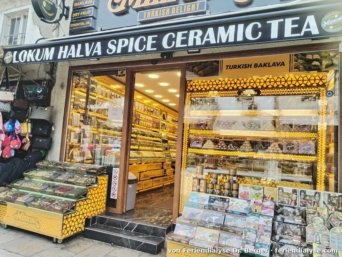 Skopje Zelezara Bild 1