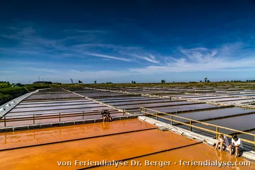 Aveiro Portugal Bild 3